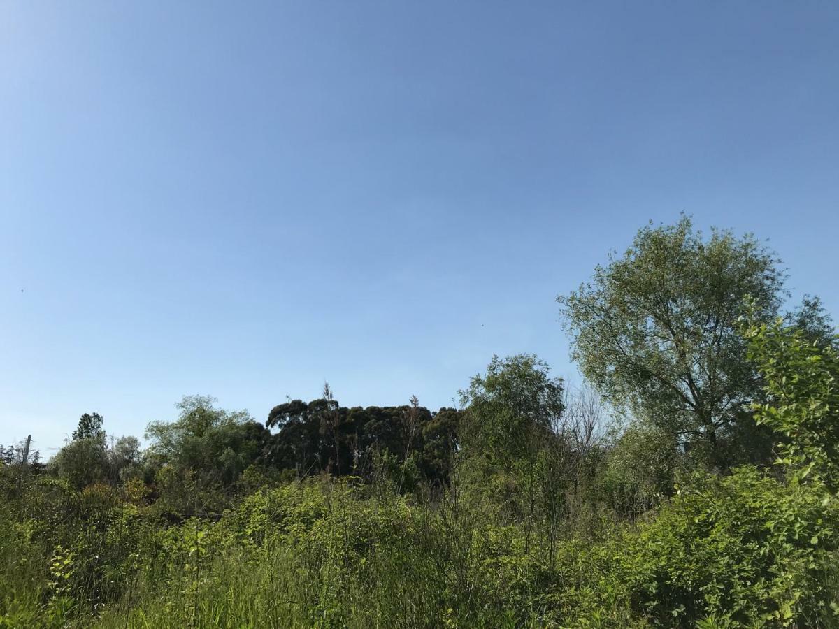 Hotel Ainar Gagra Exterior foto
